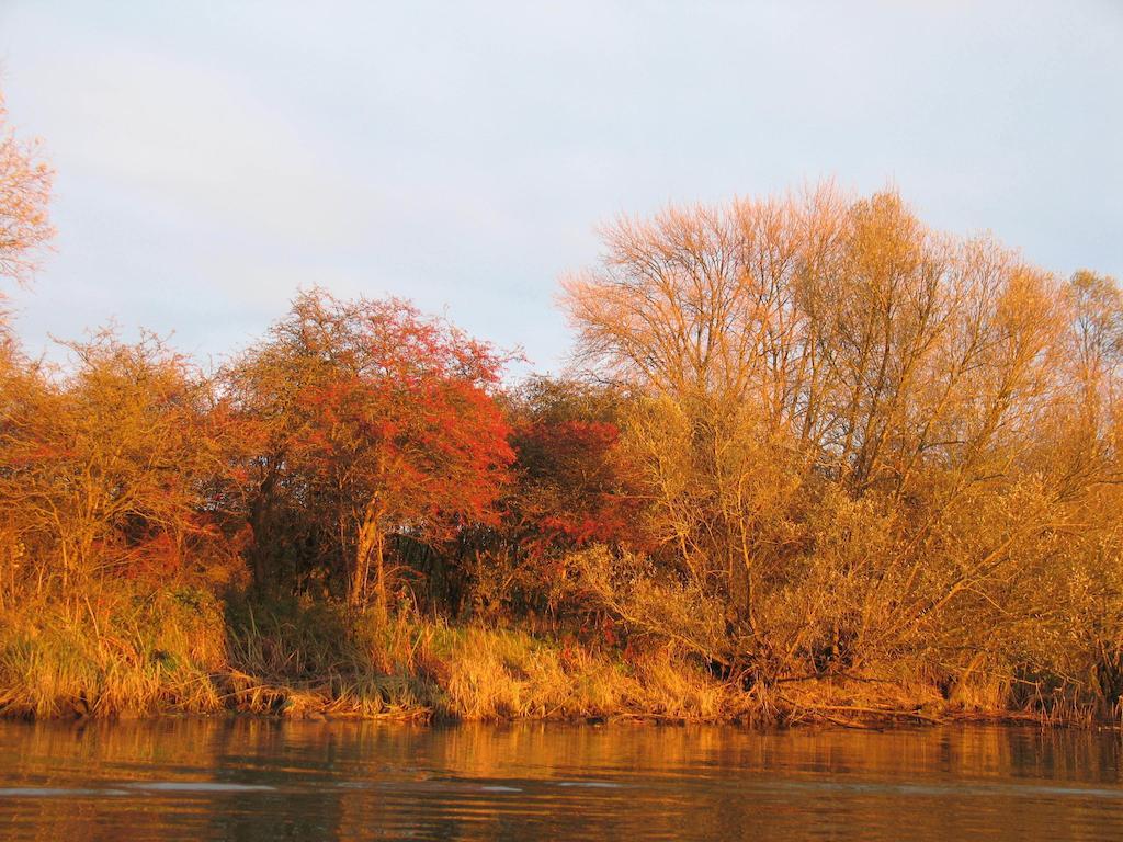 Bed And Breakfast De Biesbosch - In 'T Riet Drimmelen Eksteriør billede